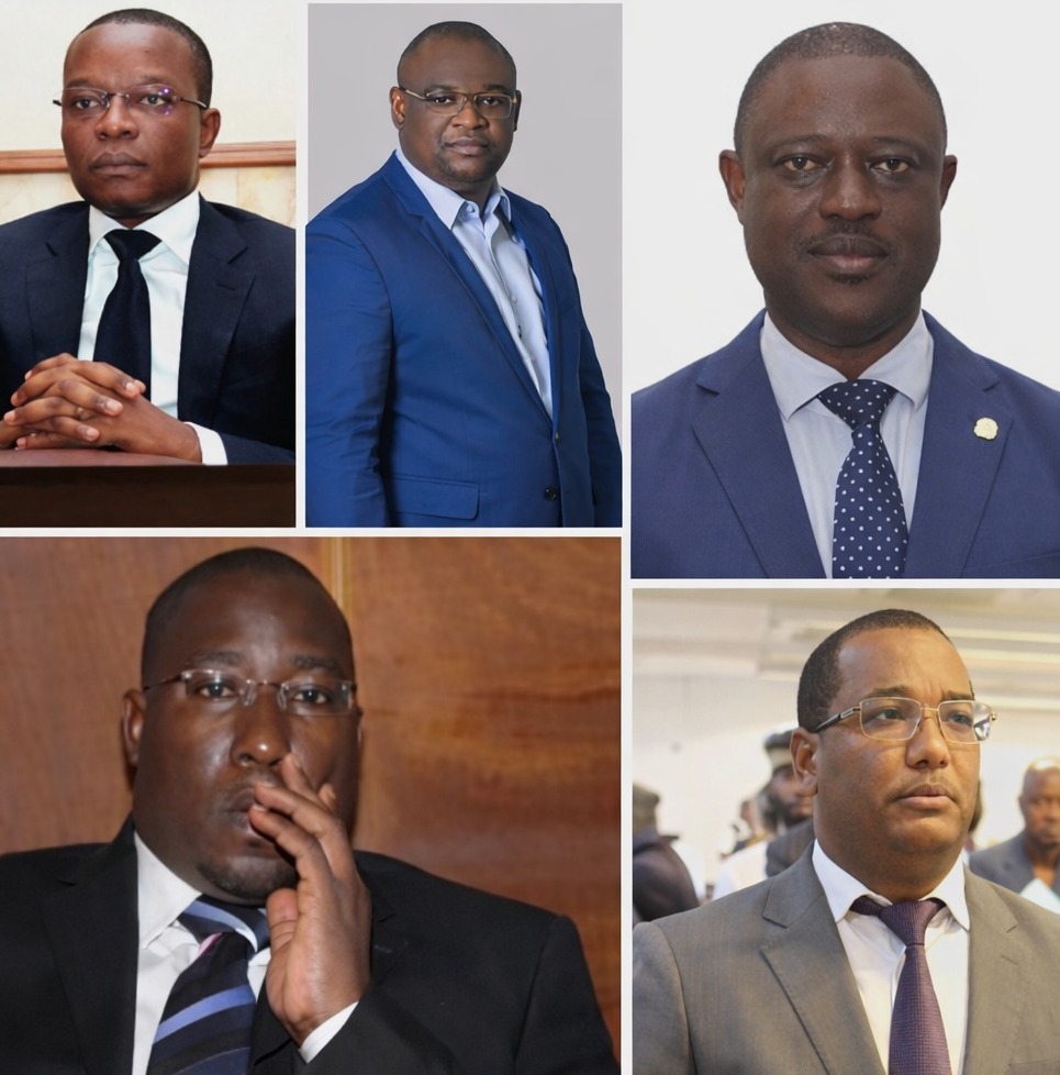 Como estes abutres aqui na foto funcionam para dilapidar Angola