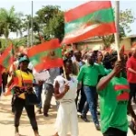Um grupo numeroso de apoiantes da UNITA caminha por uma rua, segurando bandeiras do partido (vermelho, verde e preto com o símbolo do galo negro). Muitos vestem t-shirts verdes e vermelhas, demonstrando uma mobilização ativa.
